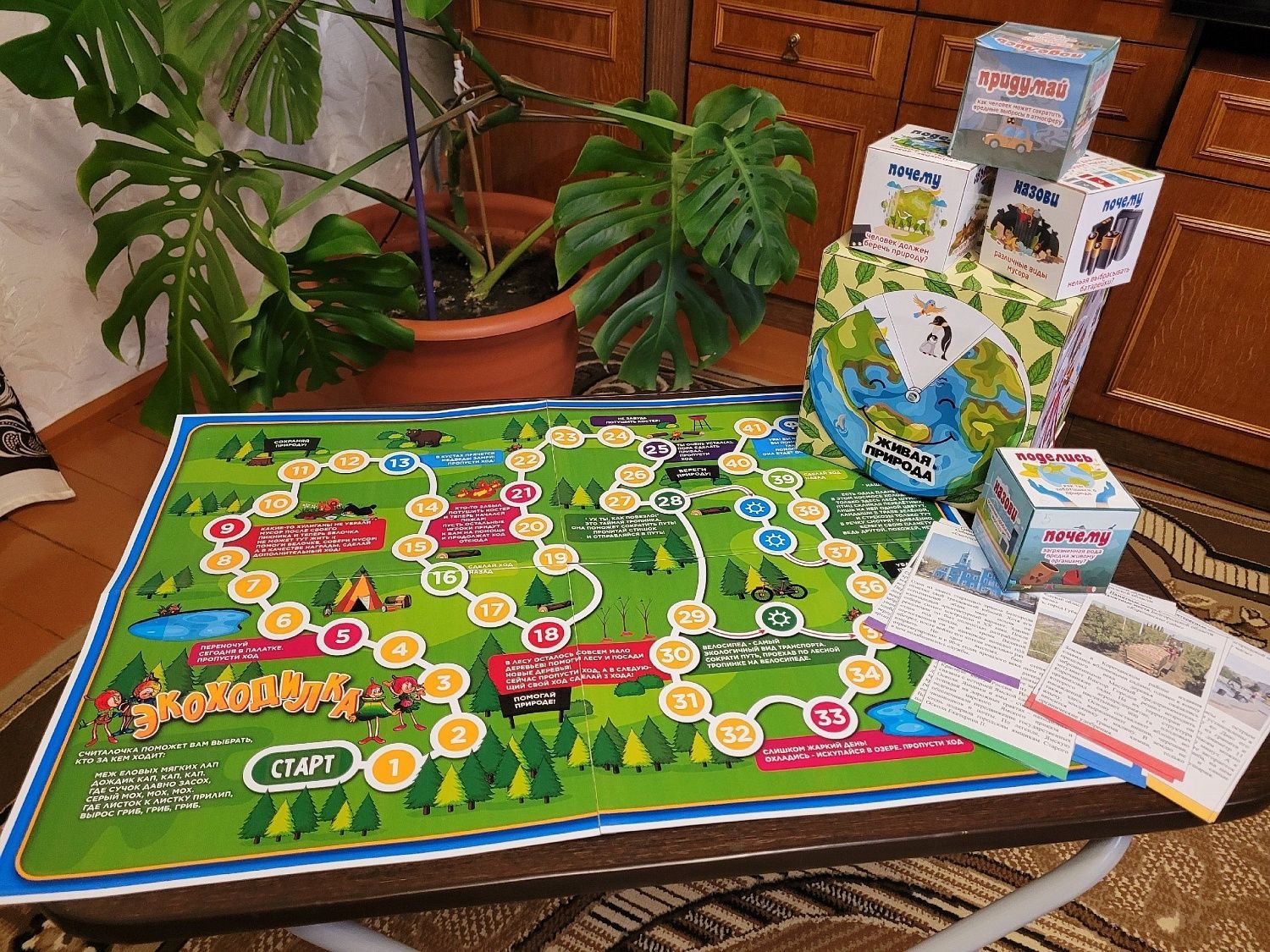 Экологическая игра "Эко-шаг"