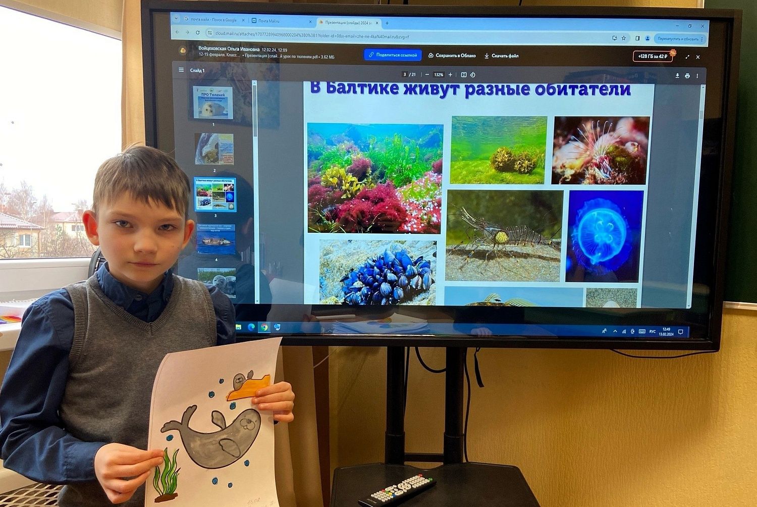 Эко-урок "ПРО тюленей"